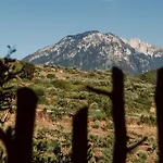 Gæstehus Alpeta Agrotourism & Winery - Roshnik , Berat