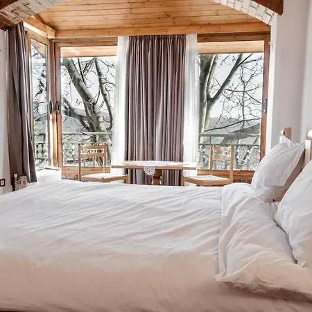 Guest house Alpeta Agrotourism & Winery - Roshnik , Berat
