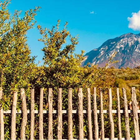 Alpeta Agrotourism & Winery - Roshnik , Berat
