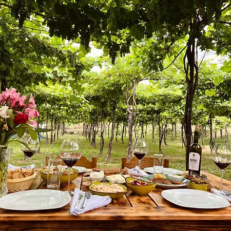 Alpeta Agrotourism & Winery - Roshnik , 4*