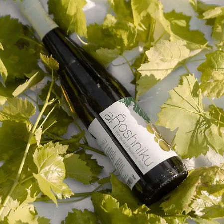 Alpeta Agrotourism & Winery - Roshnik , בית הארחה בראט