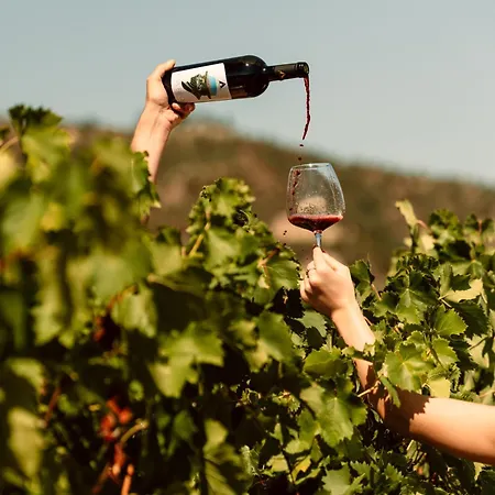 Alpeta Agrotourism & Winery - Roshnik , Vendégház 4*