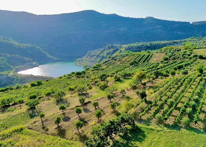 Gæstehus Alpeta Agrotourism & Winery - Roshnik ,