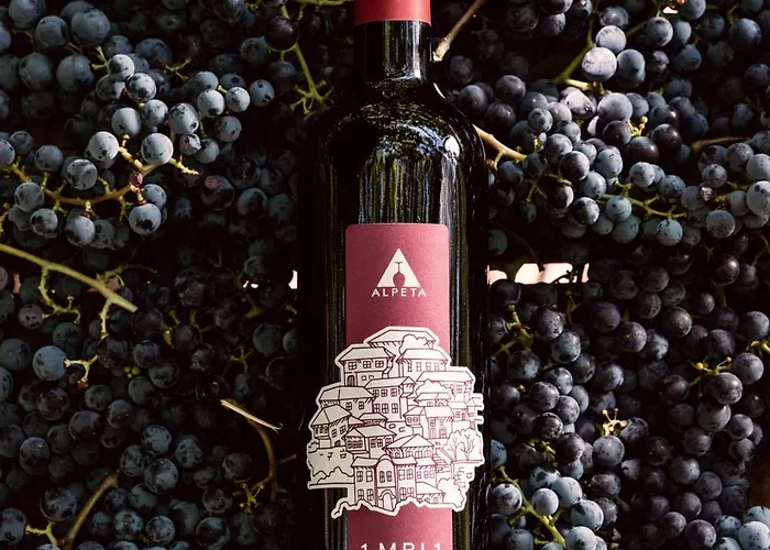 Alpeta Agrotourism & Winery - Roshnik , 4* Berat