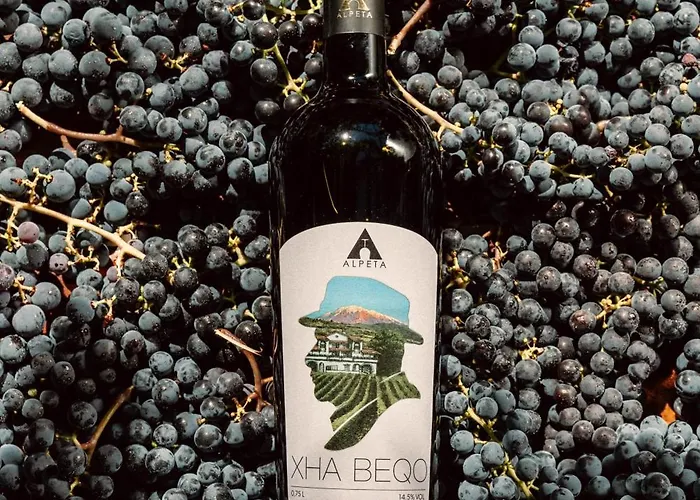 Alpeta Agrotourism & Winery - Roshnik , Berat