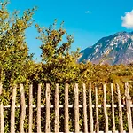 Alpeta Agrotourism & Winery - Roshnik , Berat