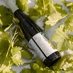 Alpeta Agrotourism & Winery - Roshnik , Pensionat Berat