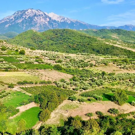 Alpeta Agrotourism & Winery - Roshnik ,