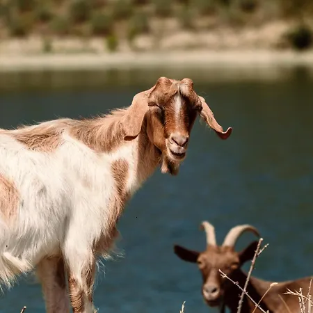 Alpeta Agrotourism & Winery - Roshnik , 4*