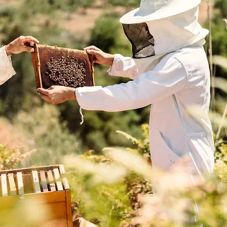 Alpeta Agrotourism & Winery - Roshnik , Affittacamere