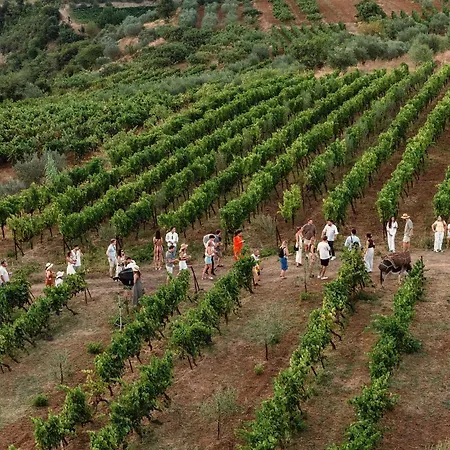 Alpeta Agrotourism & Winery - Roshnik , Affittacamere Berat
