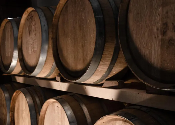 Alpeta Agrotourism & Winery - Roshnik , Berat