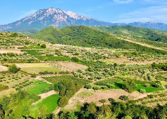 Alpeta Agrotourism & Winery - Roshnik ,