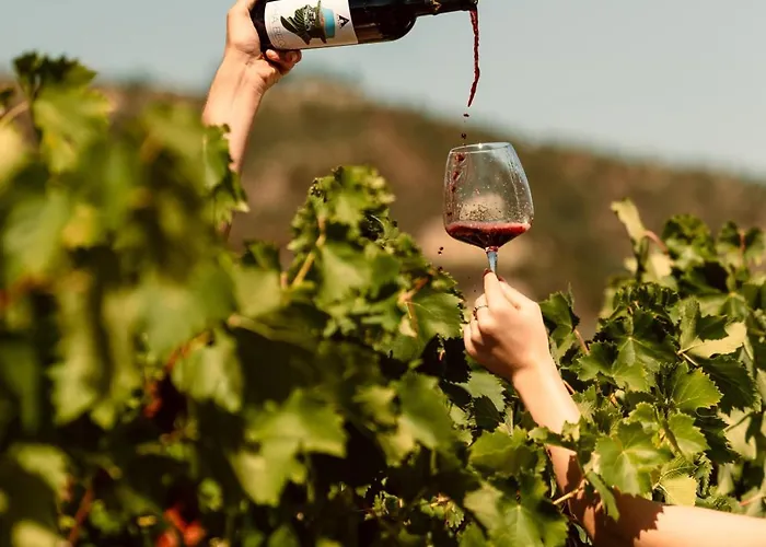 Alpeta Agrotourism & Winery - Roshnik , Vendégház 4*