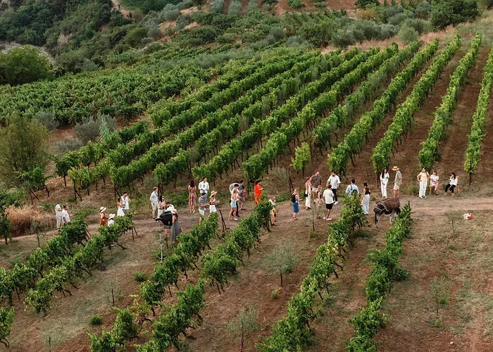 Alpeta Agrotourism & Winery - Roshnik , Гостевой дом Берат